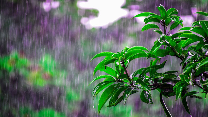 krabi was tun bei regen