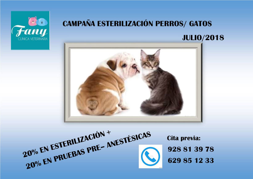 sorteo de piensos para mascotas