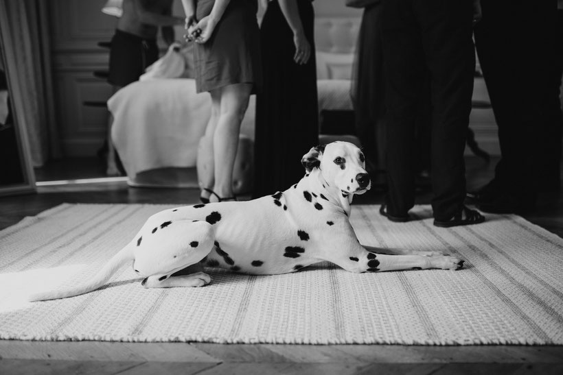 https://www.neupapphotography.com/