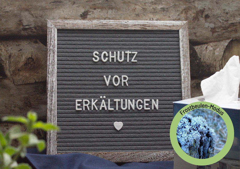 weißer Teller mit kleiner weißer Schüssel, dazwischen knusprig gelbe Kartoffel Möhren Puffer und Apfelmus, graue Serviette und zwei Möhren