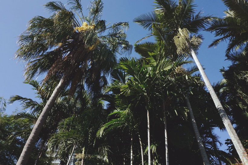 Work and Travel in Australien Jobsuche
