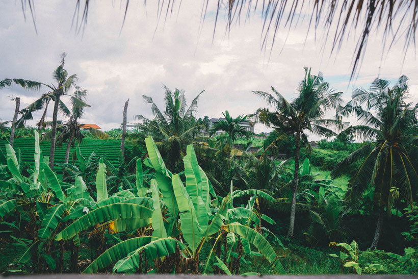 canggu bali tipps