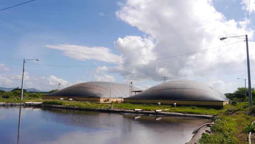 CSTR Lagoon Digester pig manure, chicken manure, dairy waste