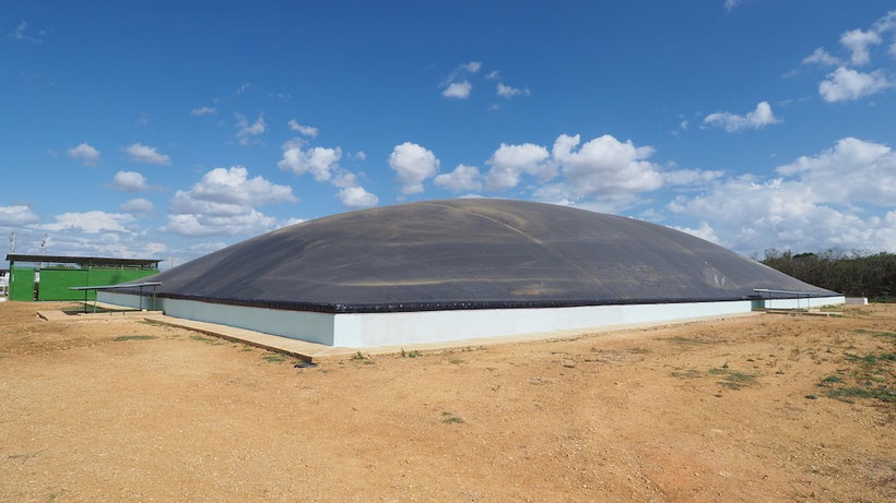 Covered lagoon digester -Slaughterhouse
