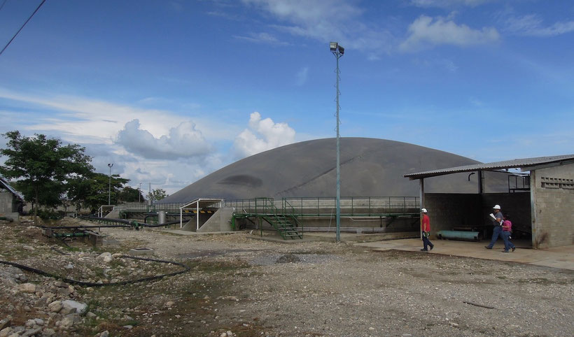 Covered lagoon digester for slaughterhouse wastewater - cattle 
