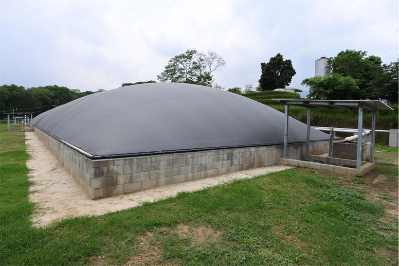 Covered lagoon digester - Aqualimpia - lagoon digester for chicken waste - poultry waste 