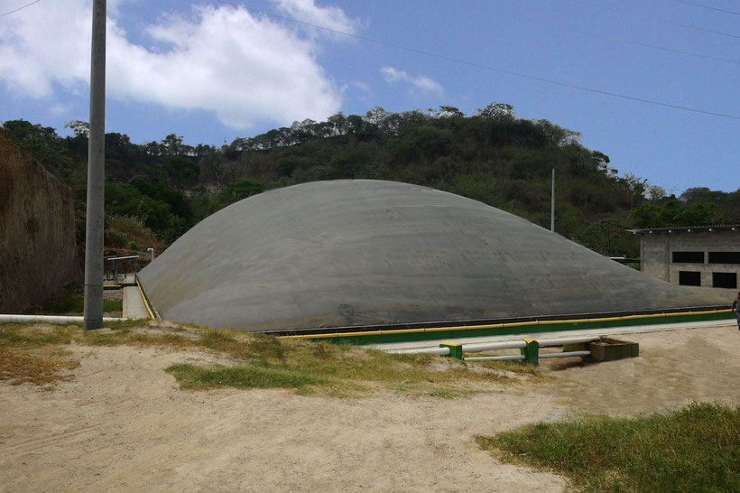 Covered lagoon digester for pig manure