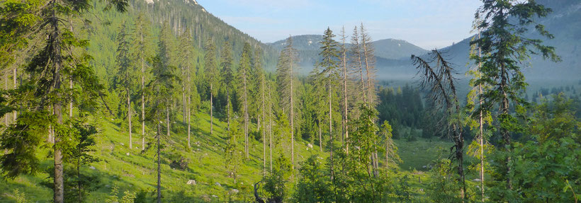 Wildlife in the Velebit National Park roams these valleys
