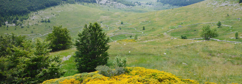 The Green Veliki Lubenovac valley of the Velebit National Park