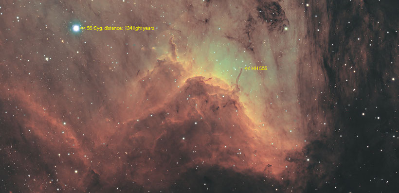 Newborn star HH 555 in the Pelican Nebula in Cygnus.