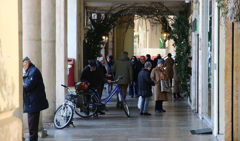 Rovigo Negozi