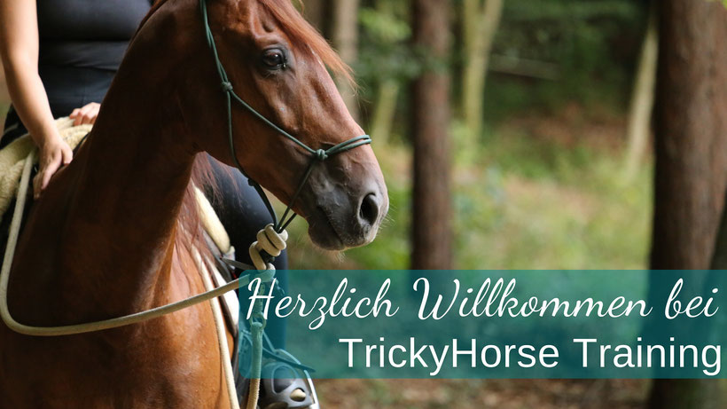 www.TrickyHorse.at