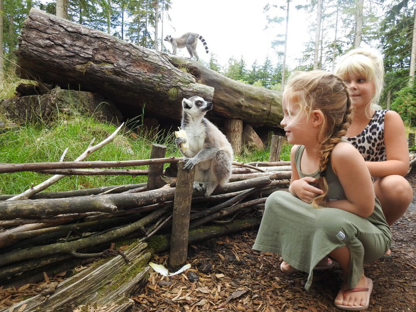 Dierentuin Amersfoort