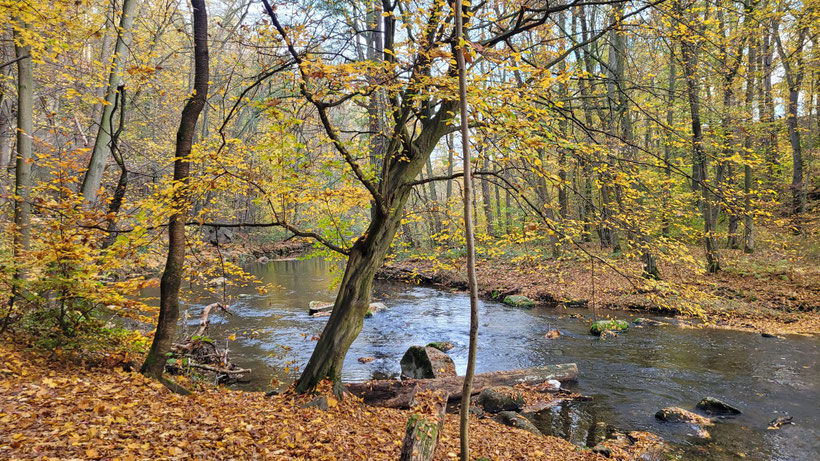 Spreetal in Bautzen