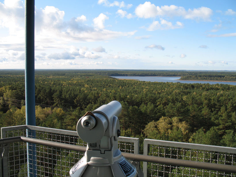 Ausblick vom Käflingsberg Turm Richtung Ferienwohnung Schwalbenruh in Boek im Müritznationalpark