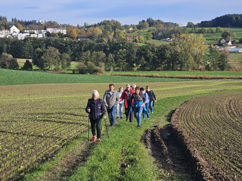 Der Wandertag 2024 führte uns nach Grünkraut. Nach zirka zweistündigem Marsch sind wir im Gasthaus Amboss zum gemeinsamen Abendessen eingekehrt.