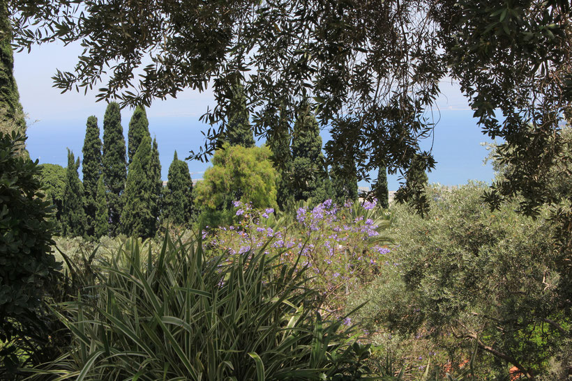 Von den Bahá'í-Gärten am Berg Karmel in Israel