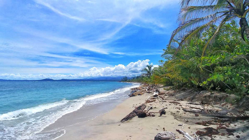 Backpacking in Costa Rica. Hier alle Tipps und Tricks für die nächste Reise. Häufige Frage und Antworten zu Anreise, Einreise, Hostels, Unterkünfte, Reiserouten und Sehenswürdigkeiten