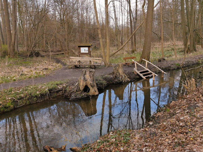 Wanderung um den Schermützelsee Kneipp-Wassertretstelle