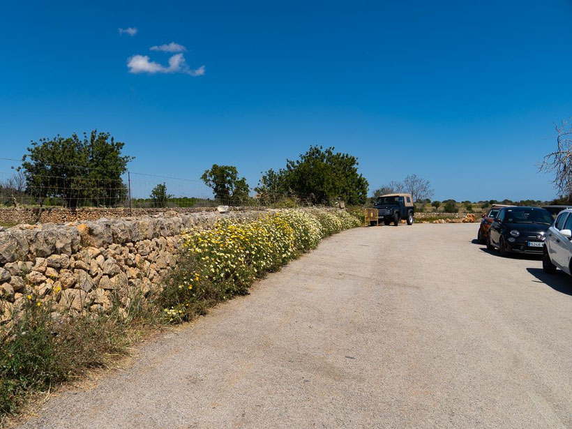 Wandern Mallorca Parken Cala Varques