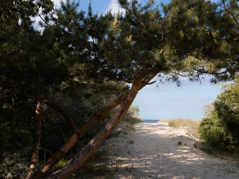 Usedom Kaiserbäder Ahlbeck Strandzugang