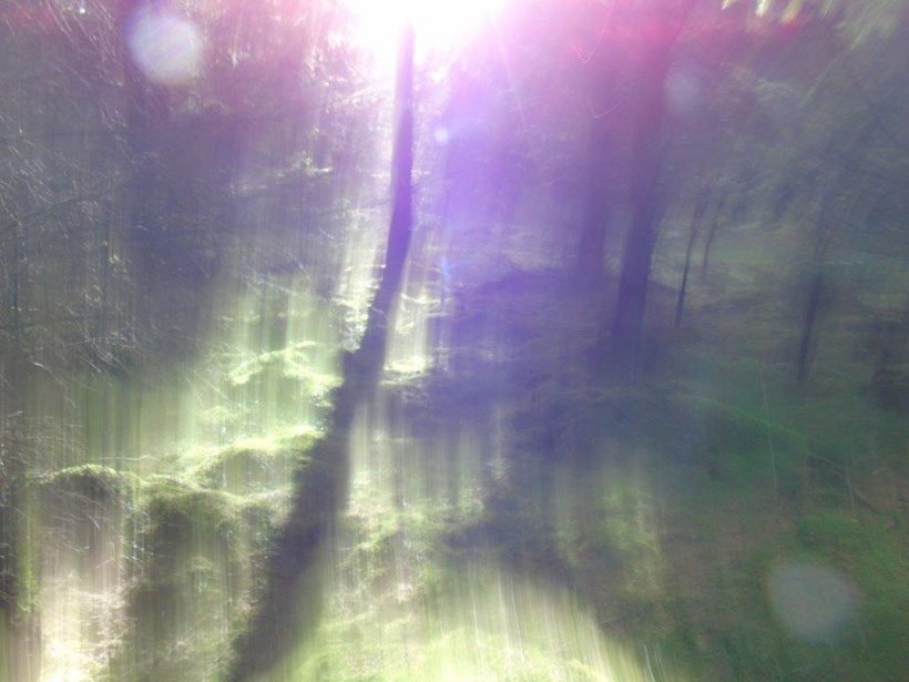 Hochschwingend im Wald, Quelle: www.lichtwesenfotografie.com