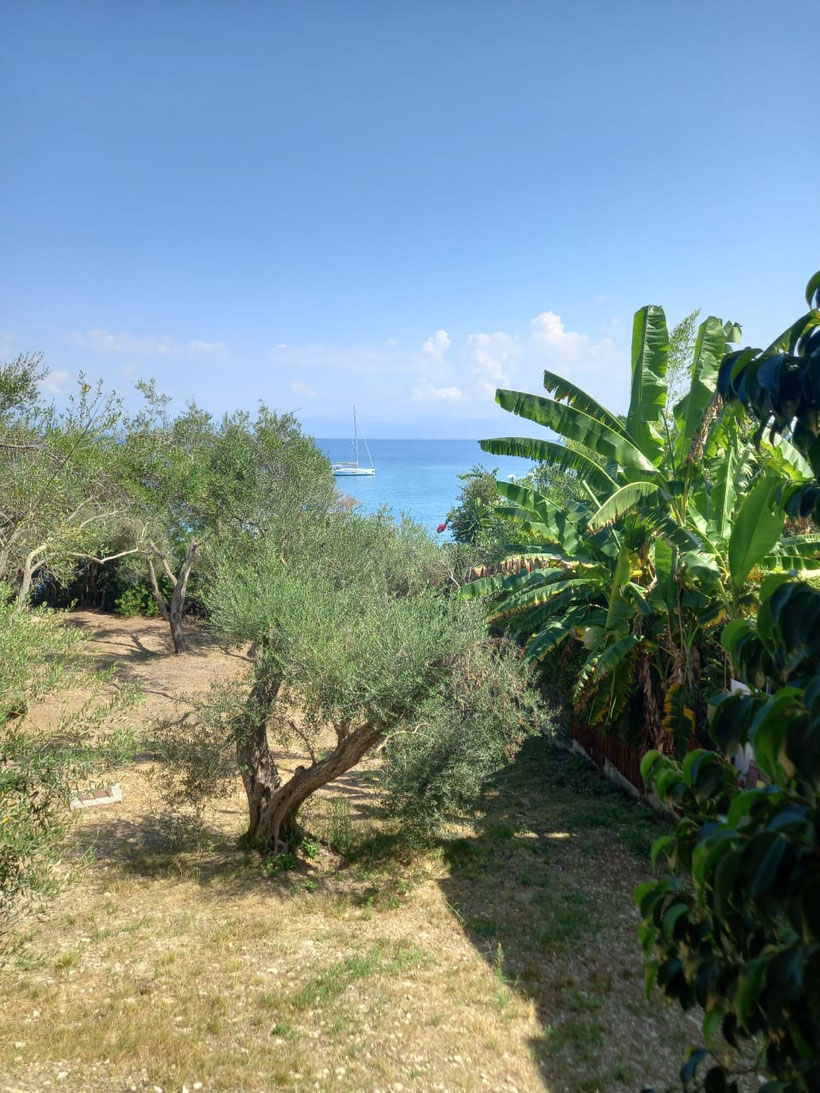 Panoramablick