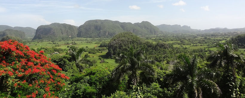 Tagesausflug Havanna Vinales Tal