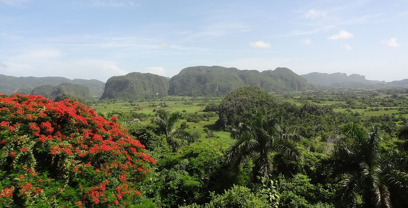 Aussicht auf das Viñales Tal, Kuba (Tagesausflug ab Havanna)