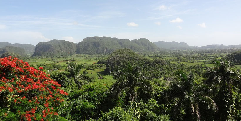 Ausblick auf das Viñales Tal in Kuba