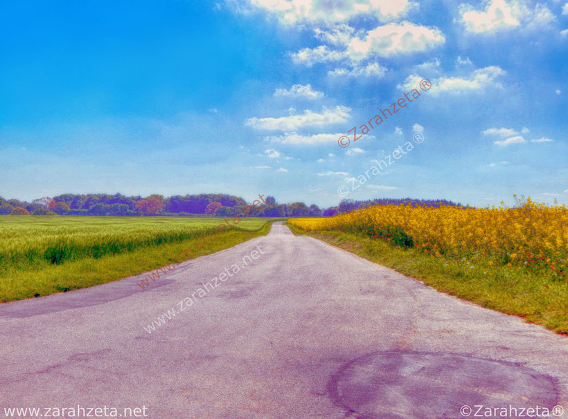 Künstlerische Fotos mit Feldweg auf dem Land im Impressionismus wie gemalt