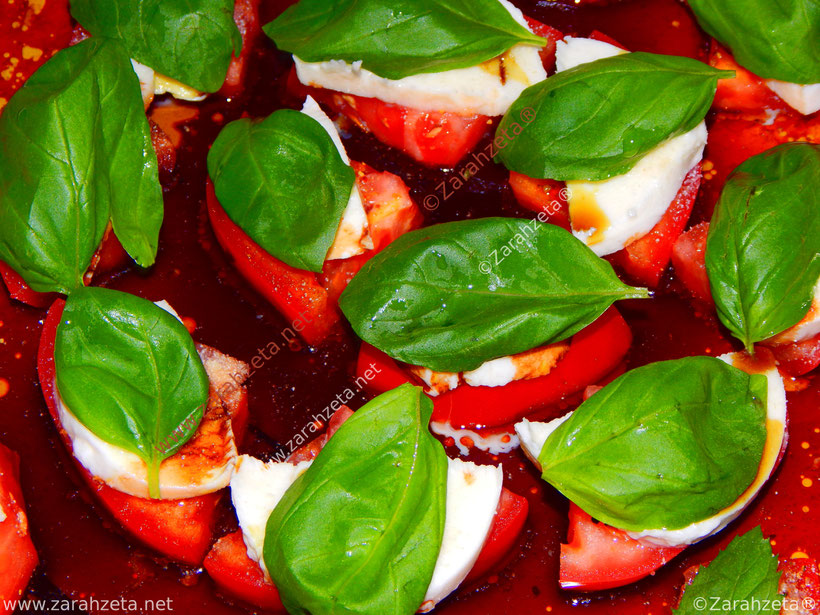Tomate Mozzarella Salat mit frischem Basilikum