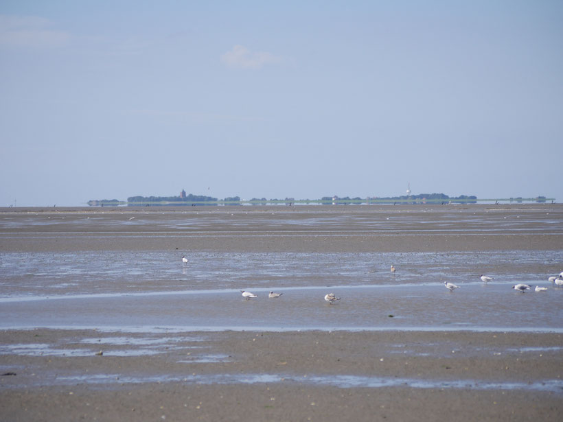 Die Insel Neuwerk liegt vor der Ferienanlage "Zuhause in Duhnen" an der Duhner Spitze.