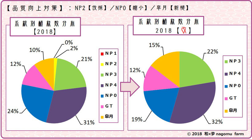 紫宝梅『ミスなでしこⓇ』　系統別植栽分布変移【2018】　和×夢 nagomu farm