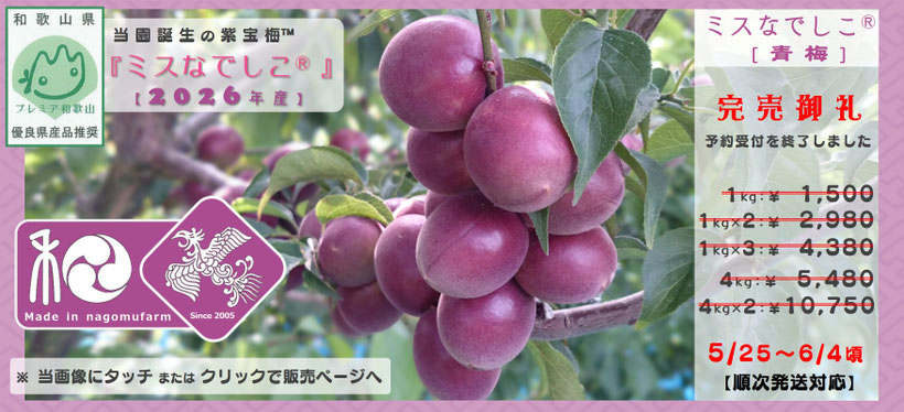 紫宝梅™『ミスなでしこⓇ』　2026年産 完売御礼 和×夢 nagomu farm　