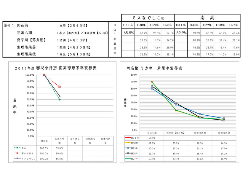 2019梅着果数調査【雨水】　和×夢 nagomu farm 