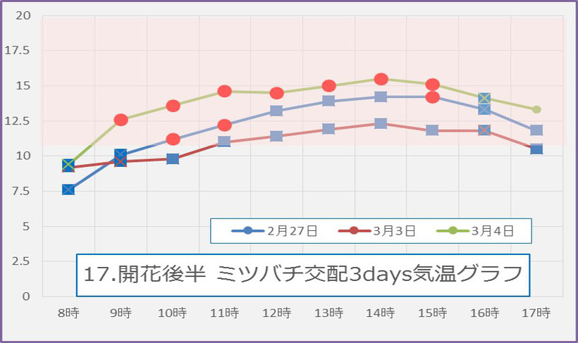 2017後期 蜜蜂交配3days　気温グラフ　和×夢 nagomu farm