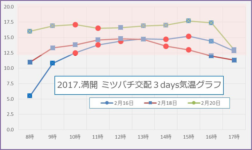 2017満開 蜜蜂交配3days　気温グラフ　和×夢 nagomu farm