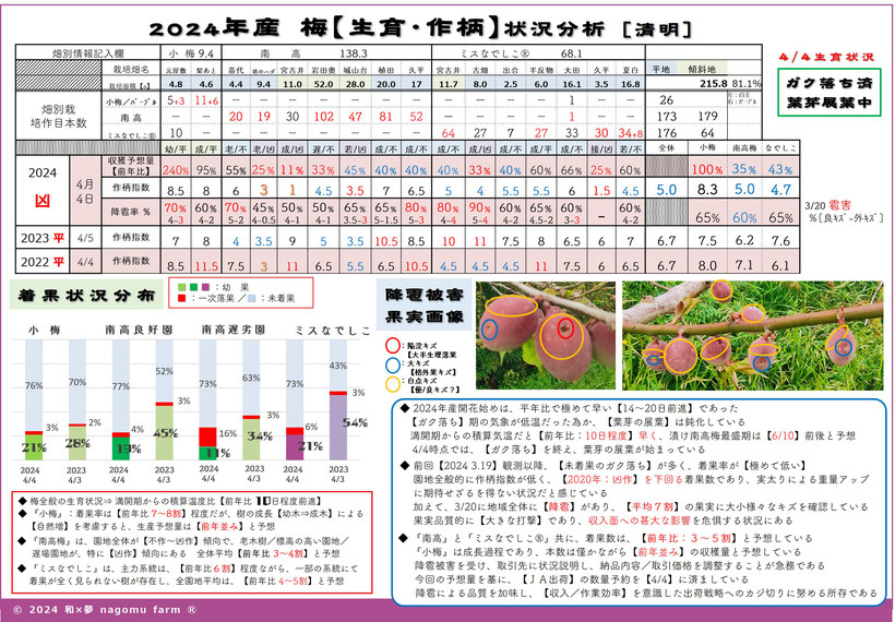 2022年産 梅産地情報【南高梅収穫後_7.09】 和×夢 nagomu farm