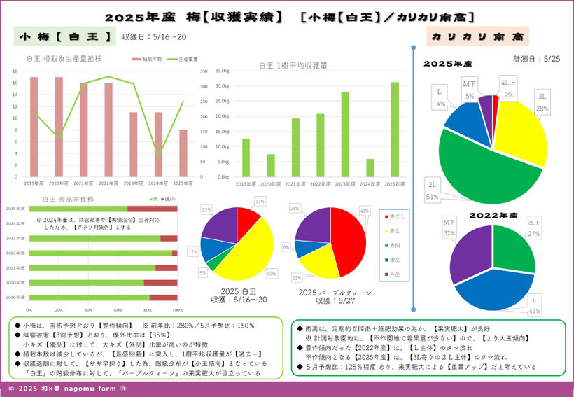 2025年産 小梅 カリカリ南高 収穫実績分析 和×夢 nagomu farm 