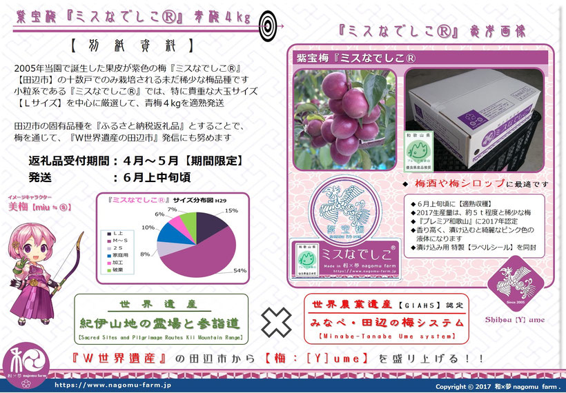 ふるさと納税返礼品 2018　紫宝梅『ミスなでしこⓇ』青梅4kg 詳細説明　和×夢 nagomu farm