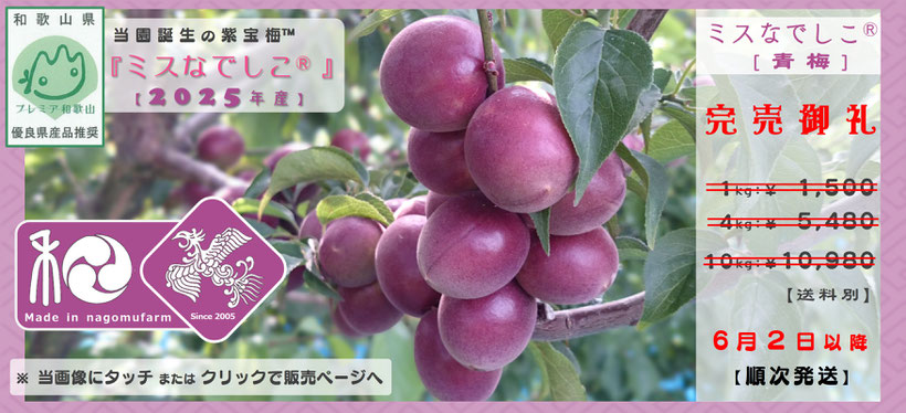 紫宝梅™『ミスなでしこⓇ』　和×夢 nagomu farm　2025年産 完売御礼