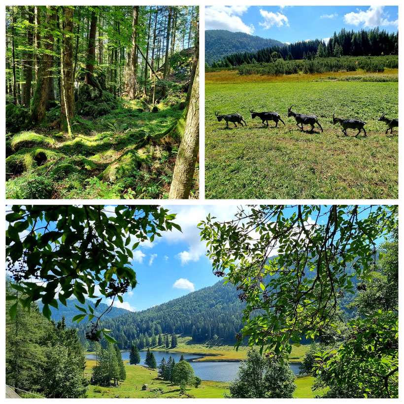  babebi-ontour.com, Hatschn & Haxln, durch ganz Österreich, Seewaldsee, St. Kolomann, Klettersteig, Gitschenwand, Enzianhütte, Auerhütte, Salzburger Land