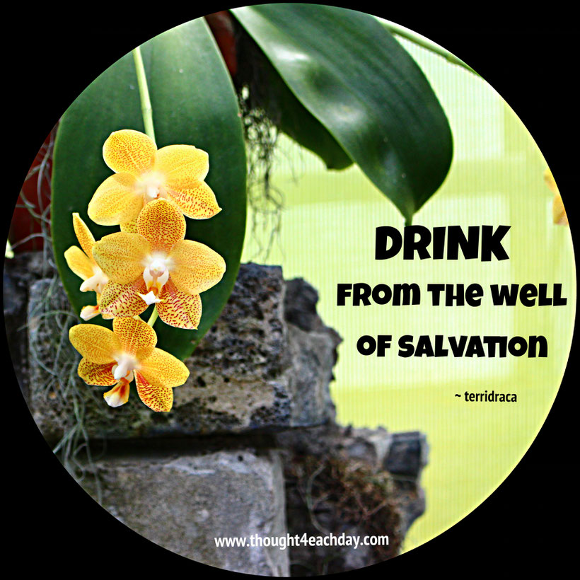 Drink from the well of salvation.  ~ terridraca