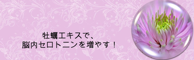 脳内セロトニンを補い、維持していくために牡蠣エキスDXを飲みましょう。