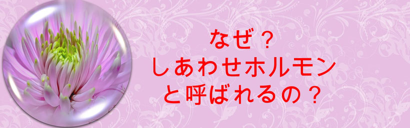 セロトニンは、なぜ幸せホルモン、安心ホルモン、睡眠ホルモンと呼ばれるのでしょうか？