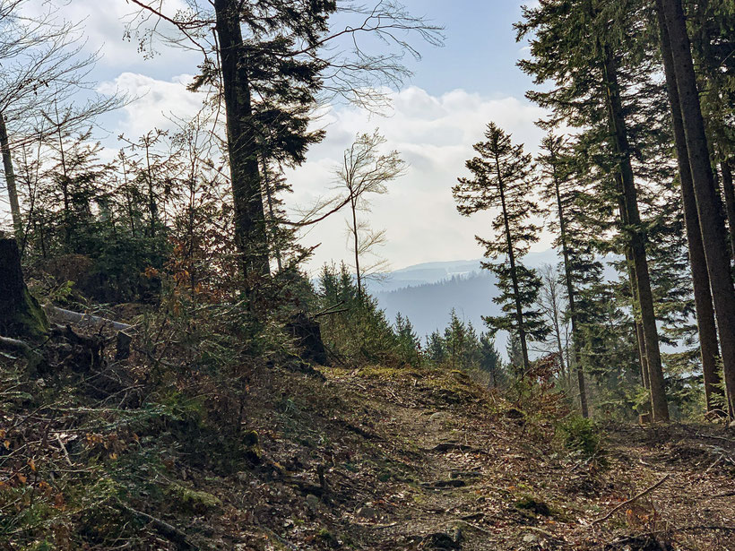 Balzer Herrgott Runde Schwarzwaldwanderung