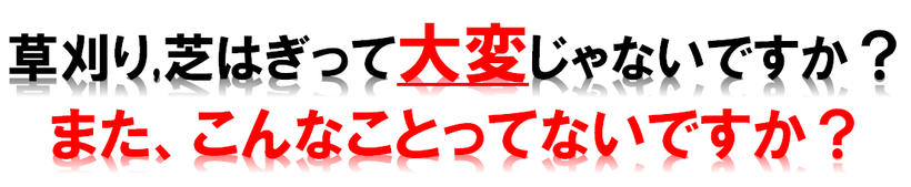 草刈り 草引き 草抜き 草 雑草