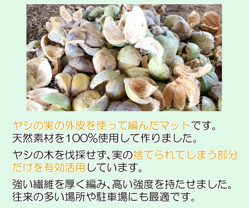 ヤシの木 ヤシの実 バリ バリ島 バリ風 ココナッツ 駐車場 アプローチ ドッグラン キャンプ場 雑草対策