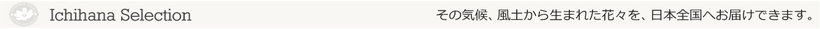 その気候、風土から生まれた花々を、日本全国へお届けできます。